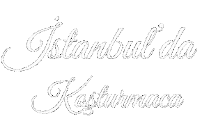 Istanbul Sticker