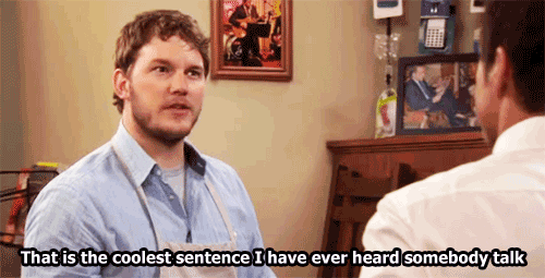 andy dwyer