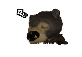 Bear Sleeping Sticker