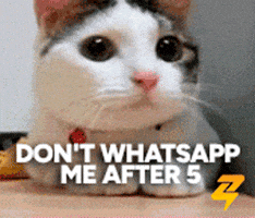 GIF by zenzap