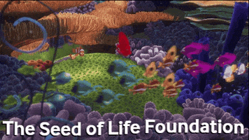 Beauty Save GIF by The Seed of Life Foundation