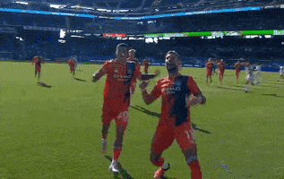 Happy New York GIF by Major League Soccer
