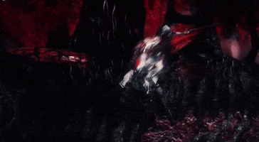 Dmc GIF