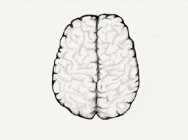 Illustration Brain GIF by General Electric