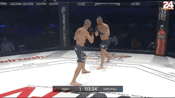 Mma GIF