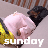 Sundayfeeling GIFs - Get the best GIF on GIPHY