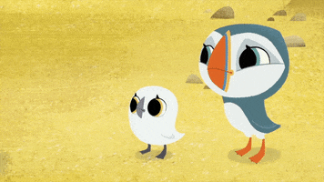 #puffin #rock #puffinrock #oona #baba #thatlook #siblingsknow GIF by Puffin Rock