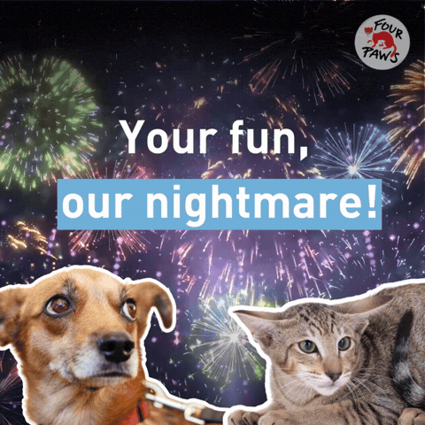 Scared Happy New Year GIF by FOUR PAWS