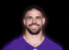 Baltimore Ravens Football GIF