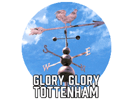 Tottenham Hotspur Football Sticker by Sealed With A GIF