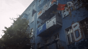 Johannes Roth GIF