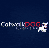 catwalkdog dogtoy catwalkdog GIF