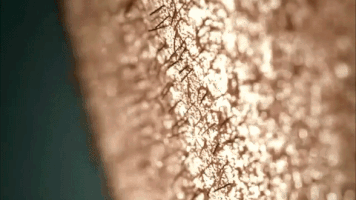 georgiacsaddington99  GIF