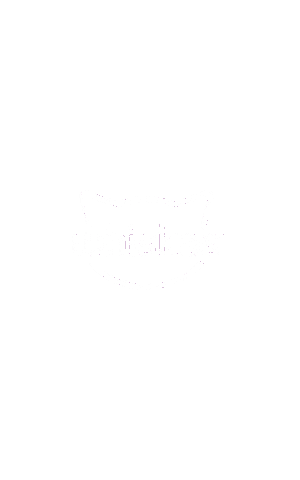 Cat Fun Sticker