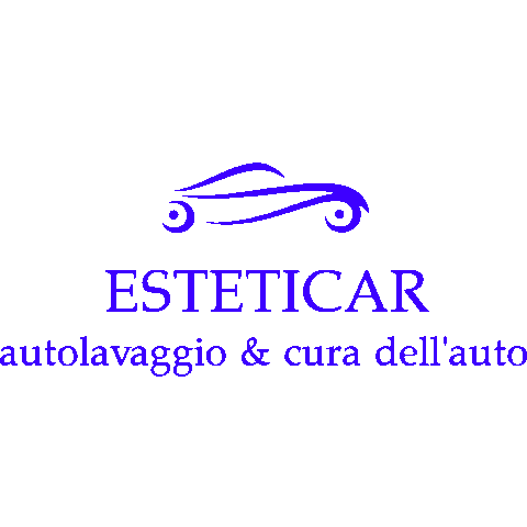 Carwash Detailing Sticker by Esteticar