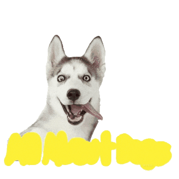 Dog Sticker by allaboutdogsshow