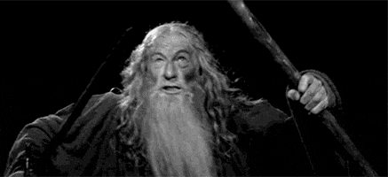 you shall not pass the lord of the rings GIF by hoppip
