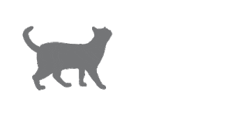 Iruwoiruwqroiwr Sticker by Royal Canin Hong Kong