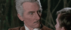 Doctor Who Wink GIF