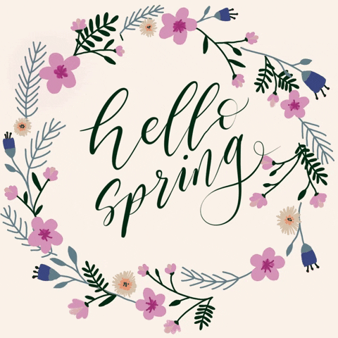 CalligraphyandtheCity hello pink flowers spring GIF