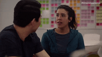 Reality Show Proposal GIF by Kim's Convenience