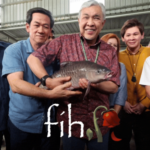 Fish Malaysia GIF