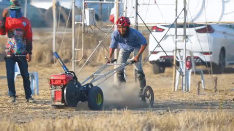 Animated GIF - Find & Share on GIPHY