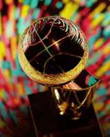 200.gif?cid=fc005b088fb1257dbff8b43ad188f18cd2d7a464f98a04e4&rid=200.gif&ct=g