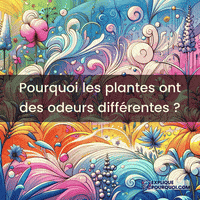 expliquepourquoi-huiles-essentielles-odeurs-vgtales-chimie-des-plantes-OgpU0TLS9y2Edmznj1