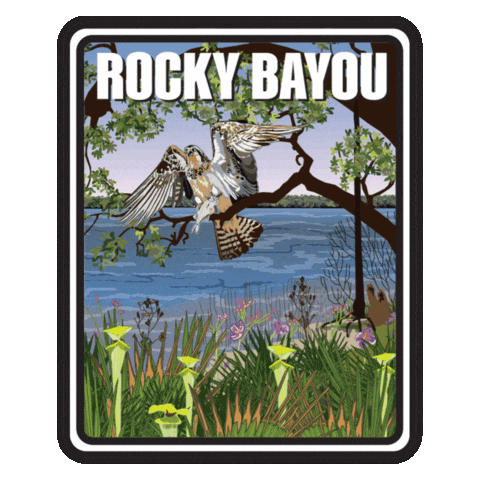 Aquatic Preserve Sticker by FLDEP