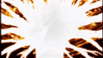 노무현 GIF