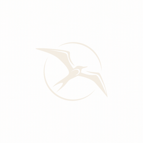 Bais Creative & Public Relations GIF
