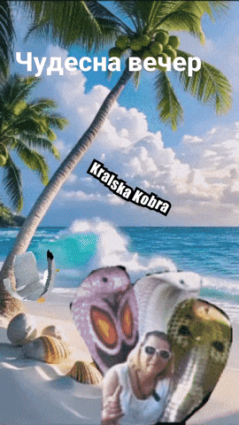 Kralska Kobra GIF
