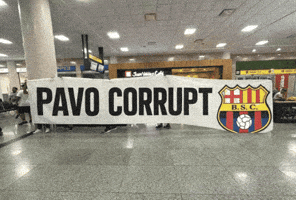 Liga De Quito Ldu GIF