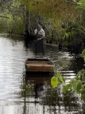 Bigcypress GIF