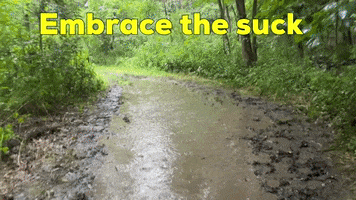 Bad GIF