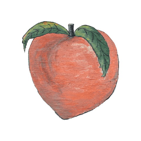 Summer Fruit Sticker by Peach State Pride