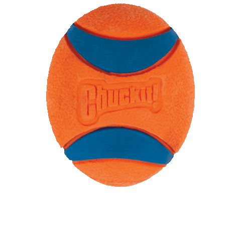 Chuckit! Sticker