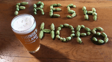 beer hops GIF by Thunder Island Brewing Co