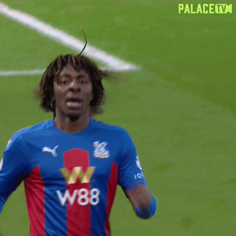 Premier League Soccer GIF by CPFC - Find & Share on GIPHY