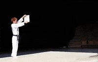 Kyokugen-karate GIFs - Get the best GIF on GIPHY