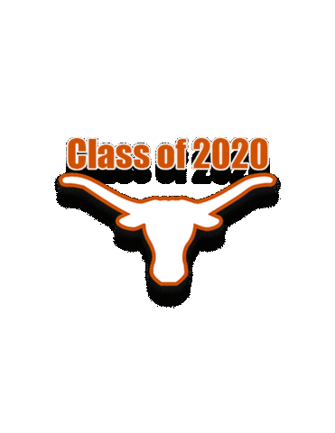 Texas BBA Program Sticker