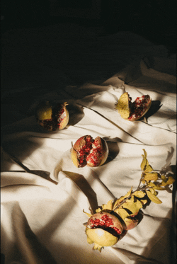 Origo Natural Skincare GIF