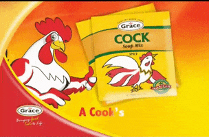 Chicken Soup Food GIF by Grace Foods 