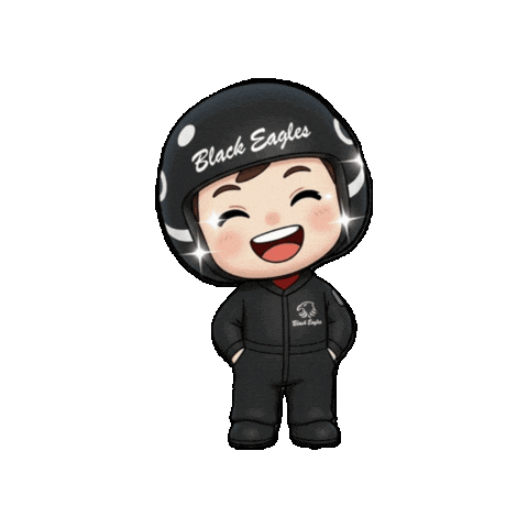 Flight Aviation Sticker