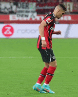 Celebrate Shake It GIF by Bayer 04 Leverkusen