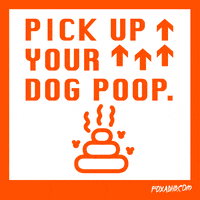 Dog-poop GIFs - Get the best GIF on GIPHY