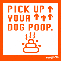 Dog-poop GIFs - Get the best GIF on GIPHY Dog-poop GIFs - Get the best GIF on GIPHY
