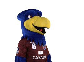 Bundesliga Handball Sticker by 1. VFL Potsdam