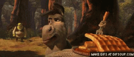 Donkey Shrek GIFs - Find & Share on GIPHY